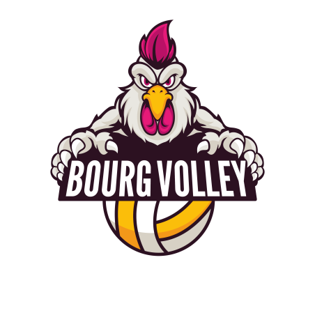 Logo Bourg Volley